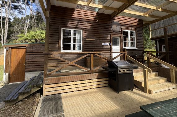 Exterior view of a secluded timber eco-cabin surrounded by lush QEII-covenanted bush and ancient ferns at Whitestar Station